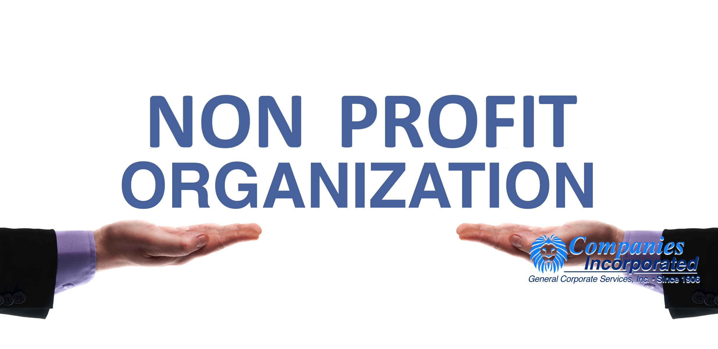 How To Start A Nonprofit Organization Definition Examples